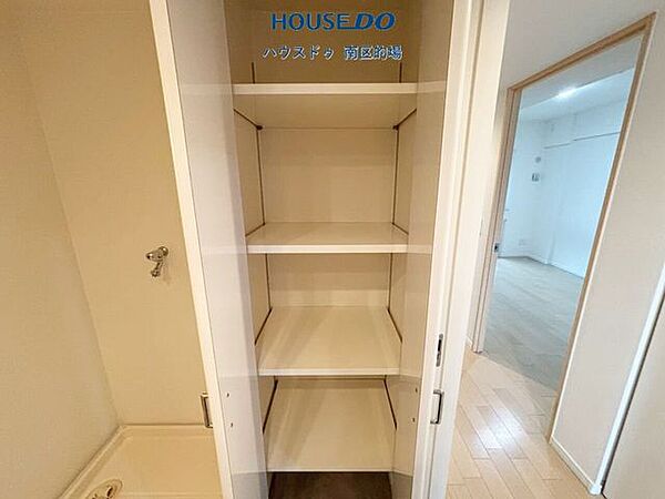 洗面脱衣所にある可動式棚はバスタオルやパジャマなどの収納やランドリーバスケットを置けます。