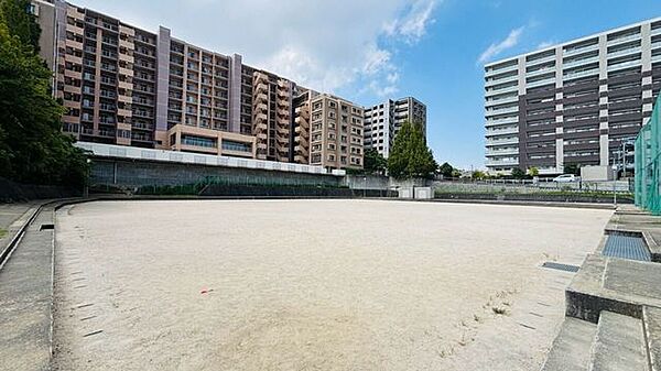 角石広場 240m
