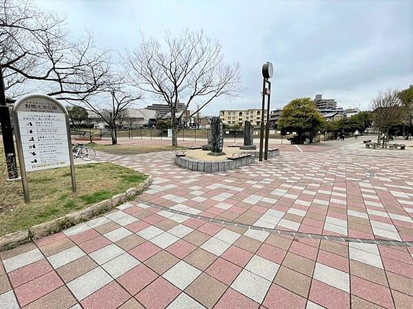 野間大池公園池の周りを一周できるウォーキングコースや遊具で遊べる公園広場があります。 100m