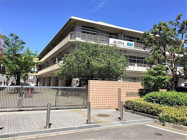 周辺を拡大表示