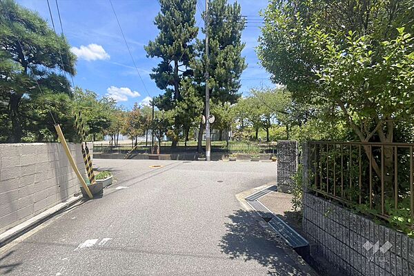 物件の西側前面道路（南側から）［2025年7月28日撮影］