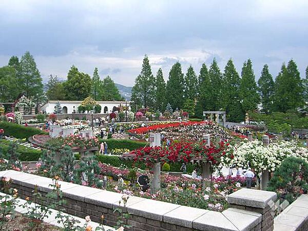 荒牧バラ公園の外観