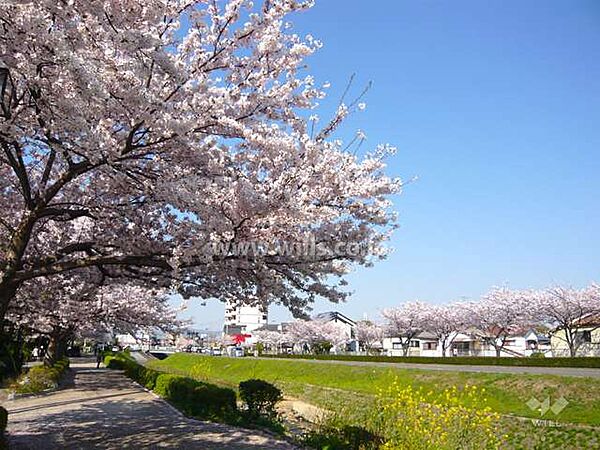 天神川の外観