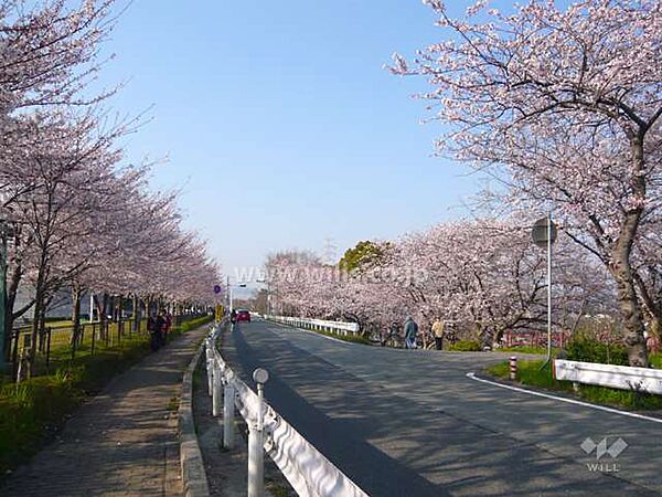 武庫川の外観