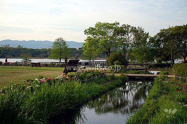 昆陽池公園の外観