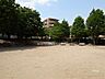 周辺：北本町公園の外観