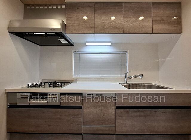 洗面 富士山を望む南西角部屋ハイネスロフティ 10階/-