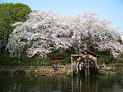 周辺施設の画像