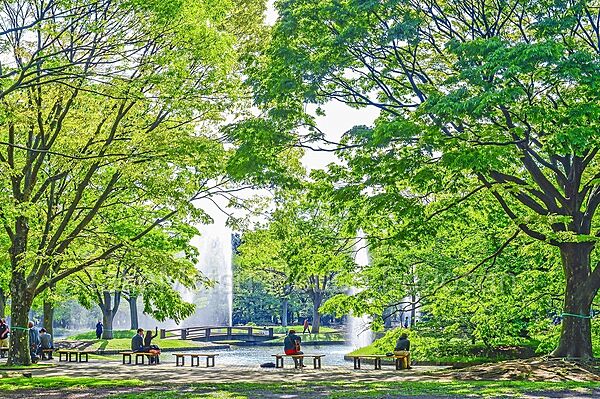緑豊かな大型の公園でございます。休日にはイベント等もありご家族にもお勧めな公園です。