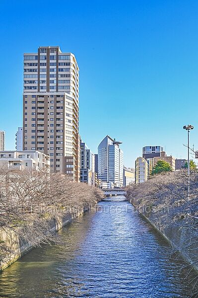 綺麗な街並みです