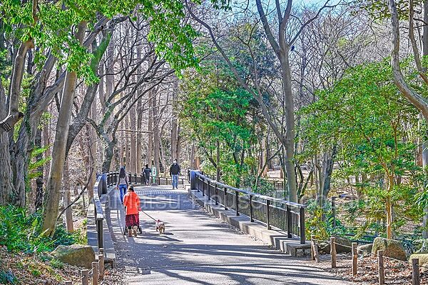ドックランも可能な大規模な公園