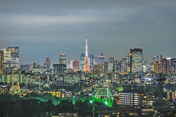 二子玉川ライズからの夜景
