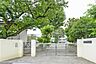 周辺：桜町小学校