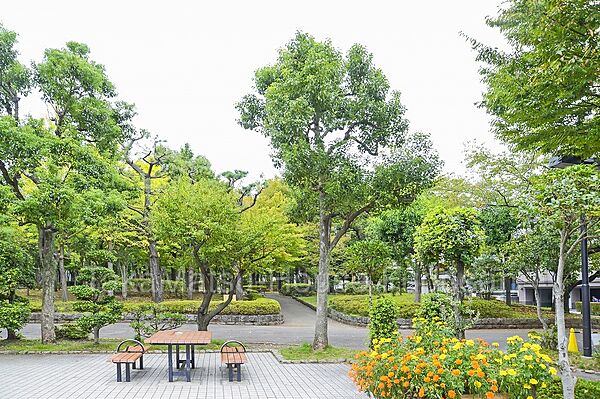 広い公園