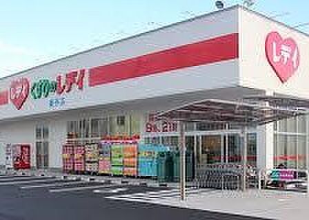 画像29:【ドラッグストア】レデイ薬局小松島店まで2920ｍ