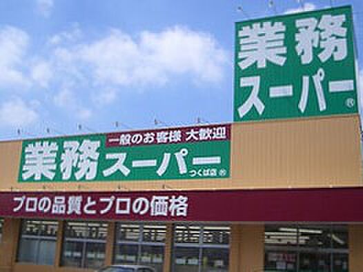 画像29:【スーパー】業務用食品スーパー阿南店まで889ｍ