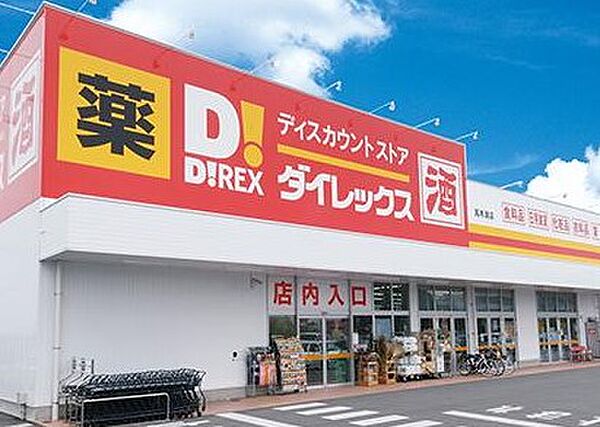 画像26:【ディスカウントショップ】ダイレックス小松島店まで1056ｍ