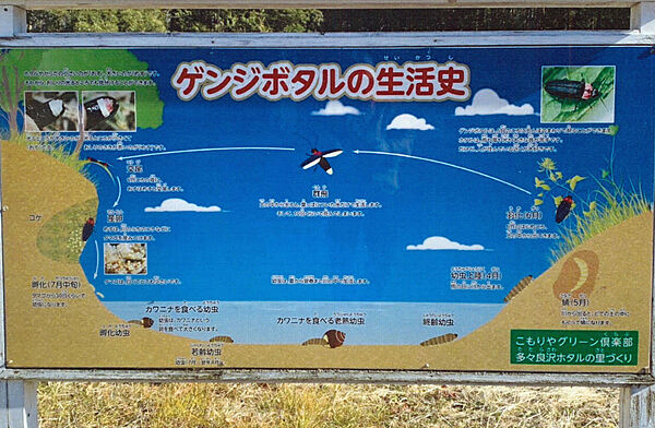 こもりやグリーン&amp;amp;#20465；楽部 約640ｍ(徒歩8分)