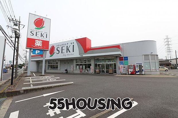 ドラッグストアセキ平塚店 徒歩6分。 450m