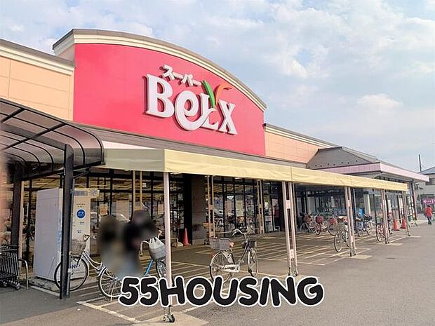 ベルクス岩槻城北店 徒歩11分。 880m