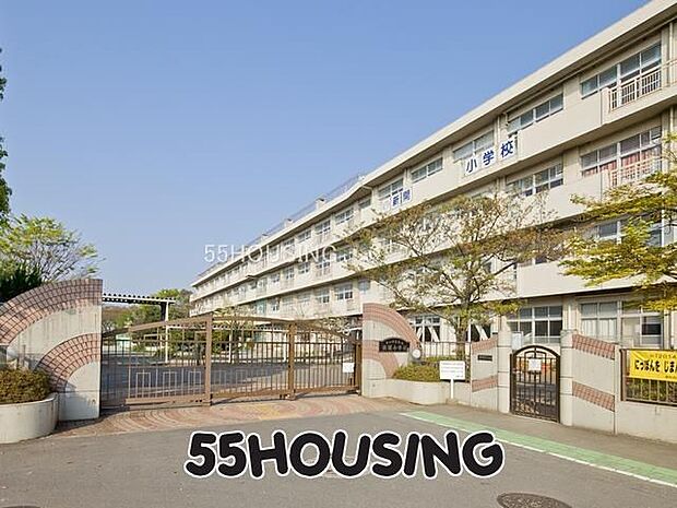 さいたま市立新開小学校 徒歩4分。 304m