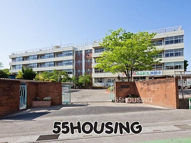 川口市立神根中学校 徒歩34分。 2700m