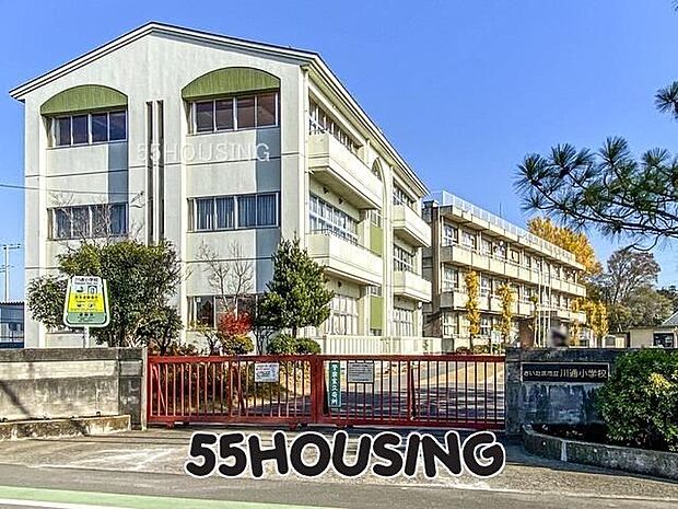 さいたま市立川通小学校 徒歩22分。 1700m