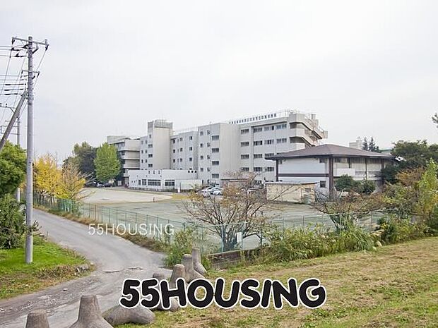 さいたま市立田島中学校 徒歩10分。 800m