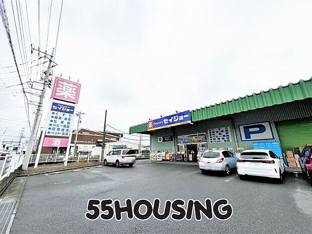 デイリーケアセイジョー浦和円正寺店 徒歩7分。 550m