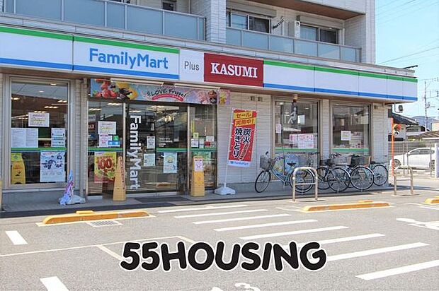 カスミファミリーマートプラス白岡駅西口店 徒歩14分。 1110m