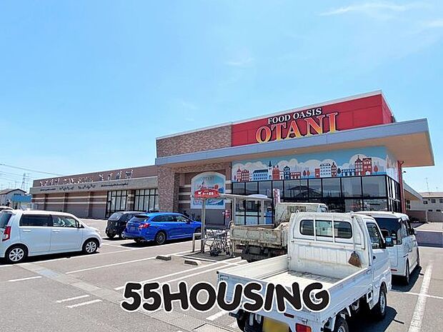 フードオアシスOTANI幸手店 徒歩5分。 350m