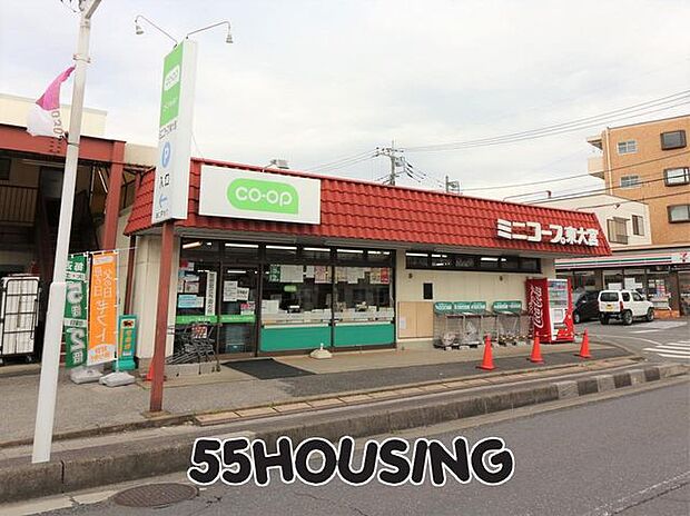ミニコープ東大宮店 徒歩14分。 1054m