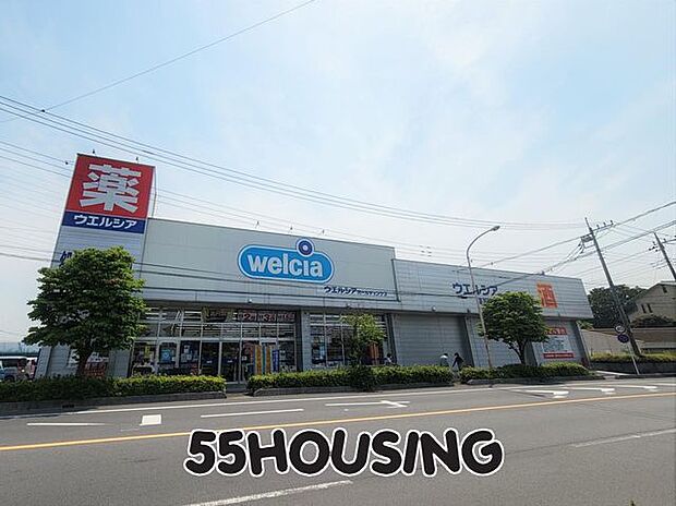 ウエルシア蓮田黒浜店 徒歩10分。 800m
