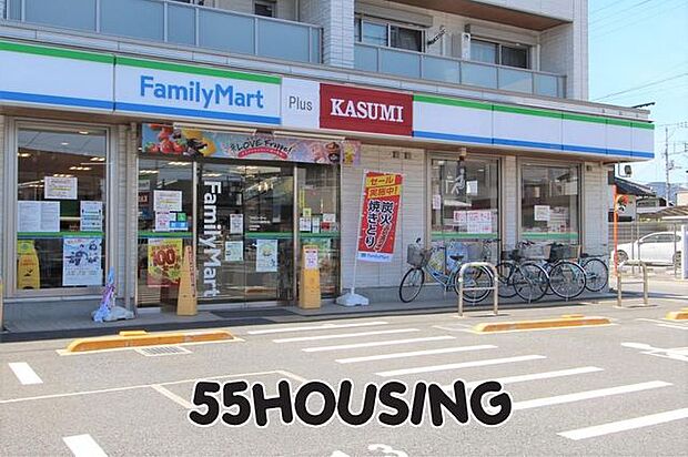 カスミファミリーマートプラス白岡駅西口店 徒歩13分。 990m