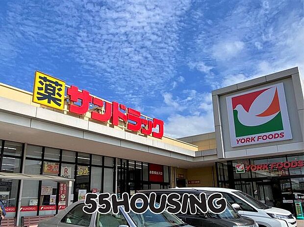 サンドラッグ幸手店 徒歩10分。 740m
