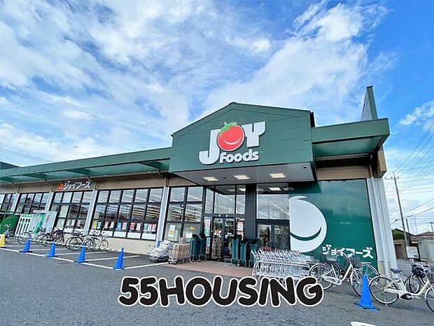 ジョイフーズ杉戸高野台店 徒歩21分。 1650m