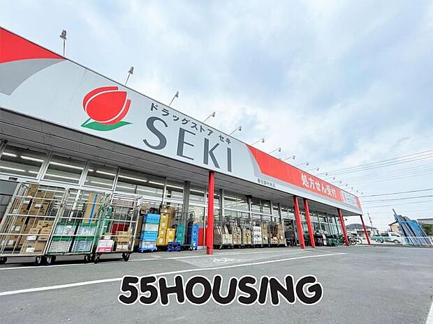ドラッグストアセキ春日部中央店 徒歩11分。 810m