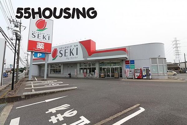 ドラッグストアセキ平塚店 徒歩13分。 970m