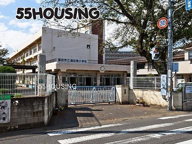 蓮田市立蓮田南小学校 徒歩5分。 350m