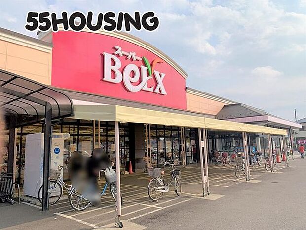 ベルクス岩槻城北店 徒歩7分。 505m