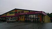 DRUG STORE MORI（ドラッグストアモリ） 中原店（1495m）
