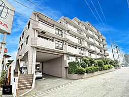 シーダム藤沢善行