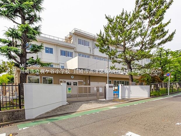 小学校 900m 川崎市立梶ヶ谷小学校