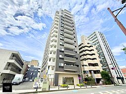 ベルドゥムール本厚木