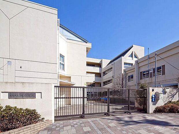 小学校 40m 横浜市立桂小学校