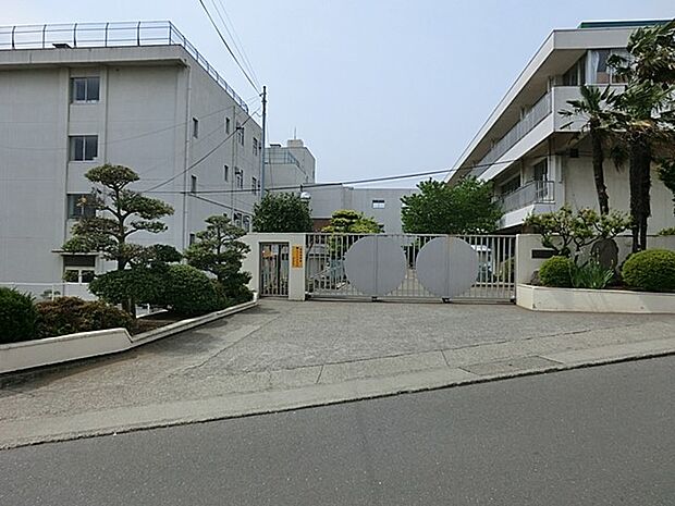 小学校 1800m 秦野市立大根小学校