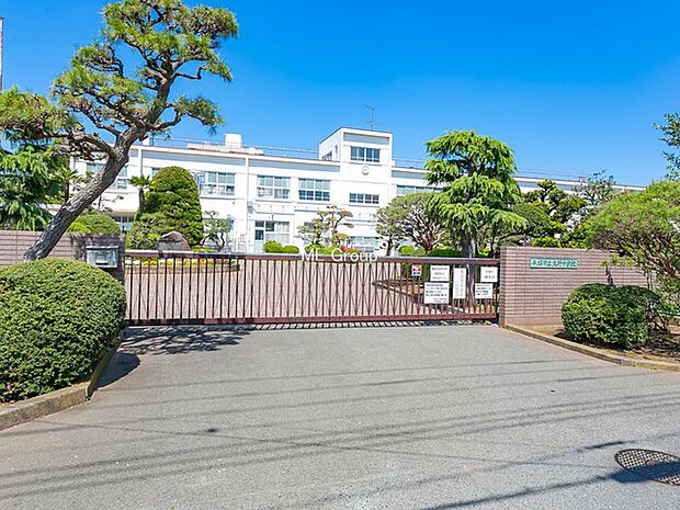 中学校 1800m 平塚市立大野中学校