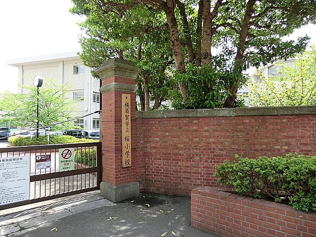 小学校 200m 横須賀市立桜小学校