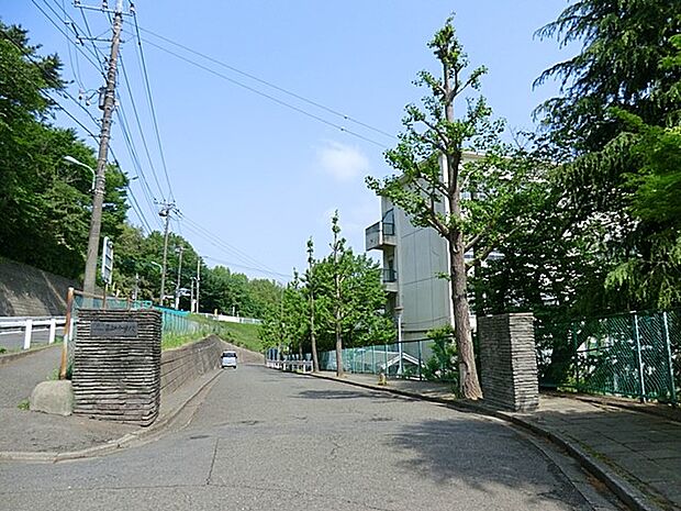 中学校 1200m 町田市立薬師中学校