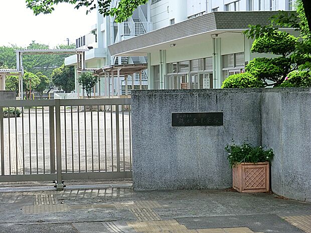 小学校 300m 茅ヶ崎市立鶴が台小学校